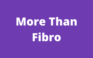 More Than Fibro
