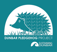 Dunbar Pledge-hog Project